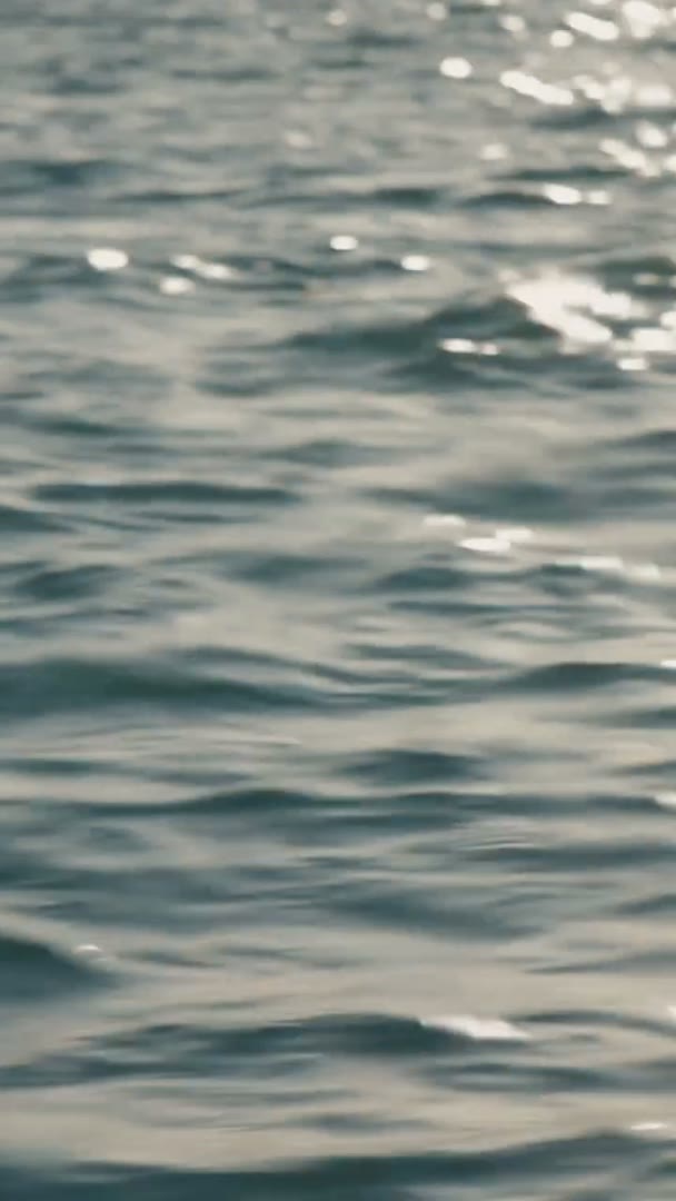Tomber amoureux du Bassin
